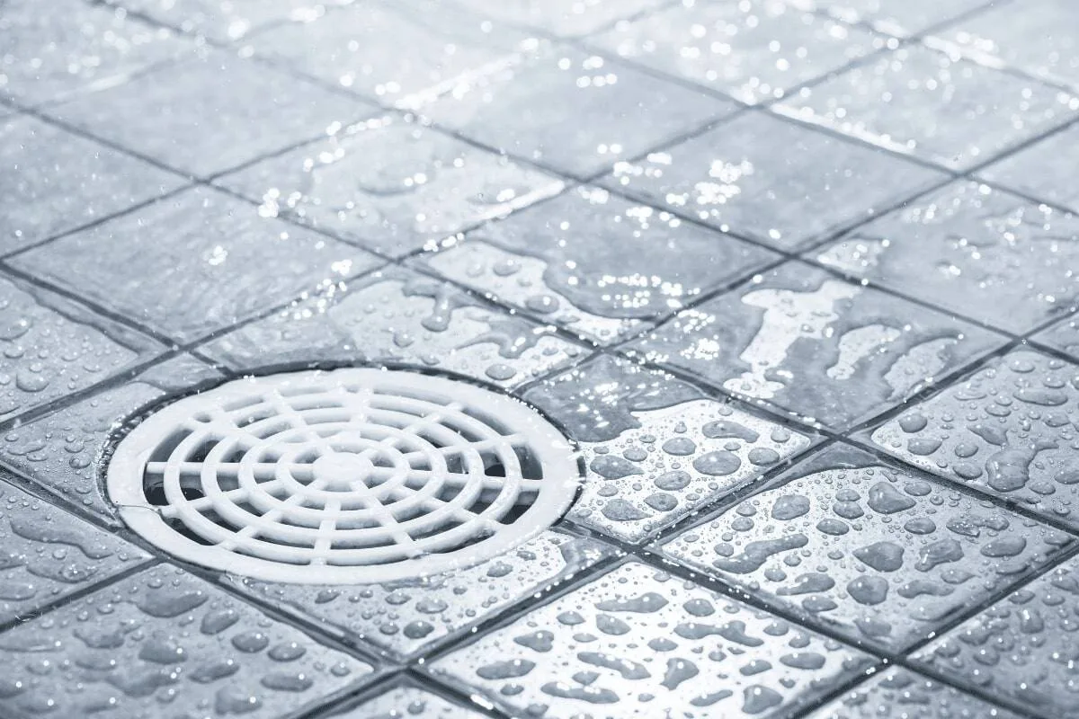 A clean bathroom floor shows Prodigy Sewer and Drain’s skill at fixing drains and keeping areas dry.