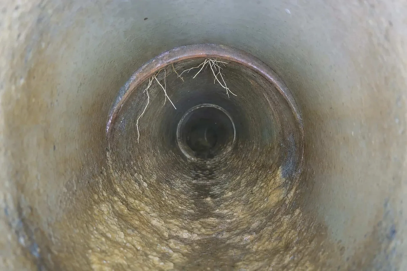 A pipe has buildup and roots inside, showing a blockage that Prodigy Sewer and Drain can help fix.