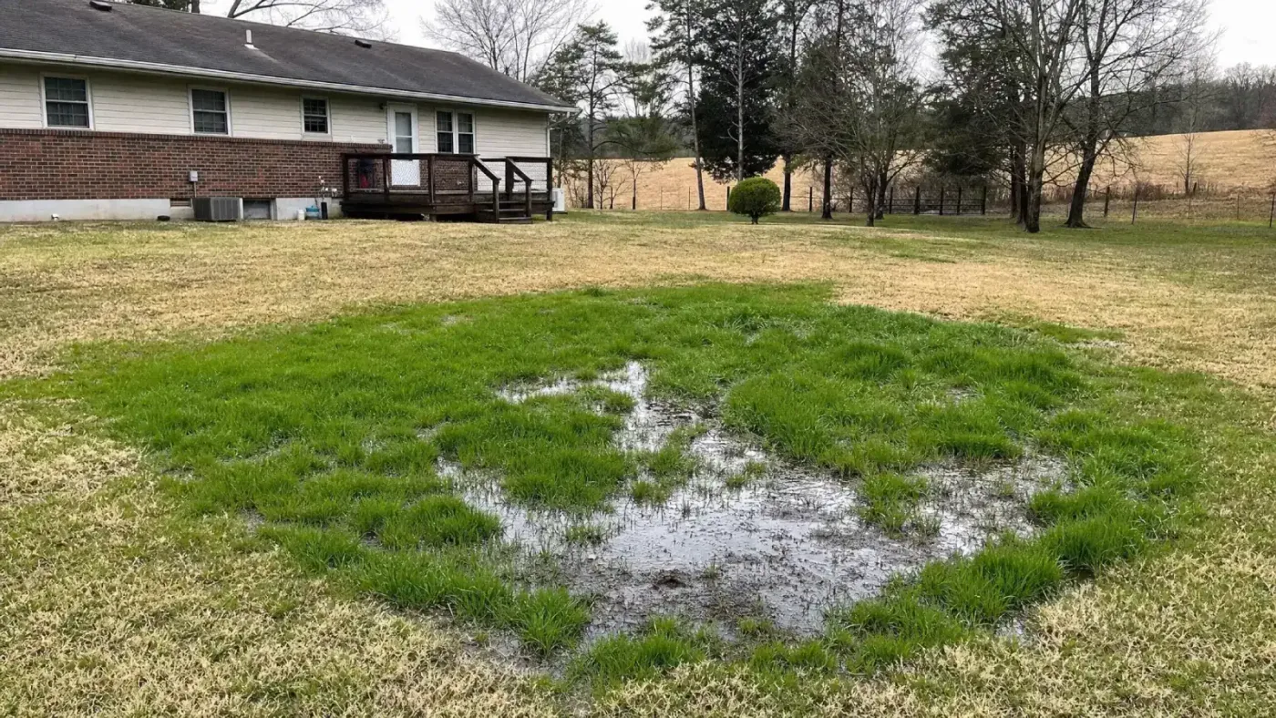 Prodigy Sewer and Drain can help if your yard has wet, soggy spots and dry grass, showing drainage problems.